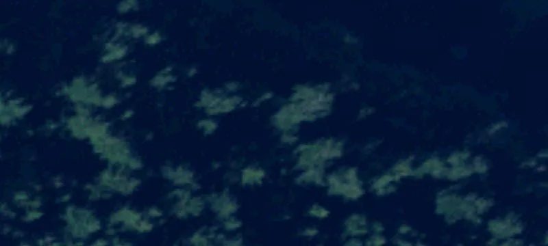 Orcas, WA 98280