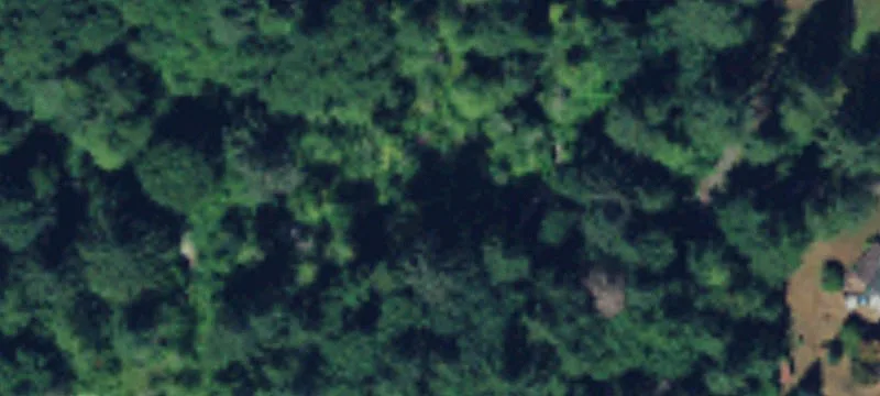 46212 Mt Si Rd