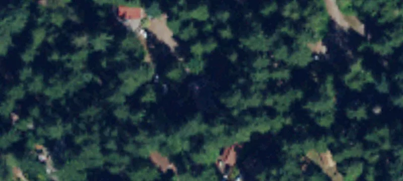 1132 Alder Ln