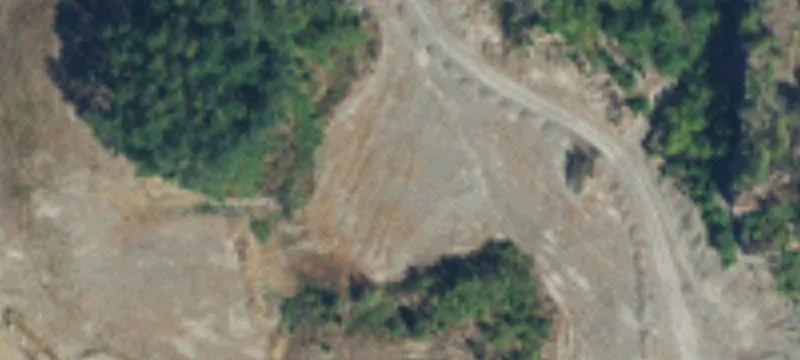 Lacey, WA 98516