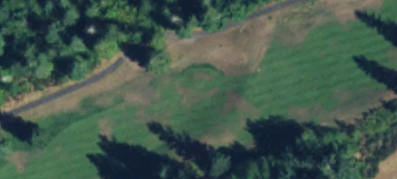 29925 207th SE Ave