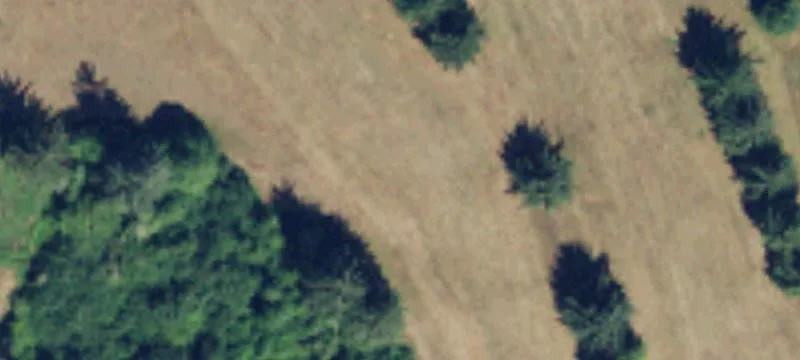 2498 Fowler Rd