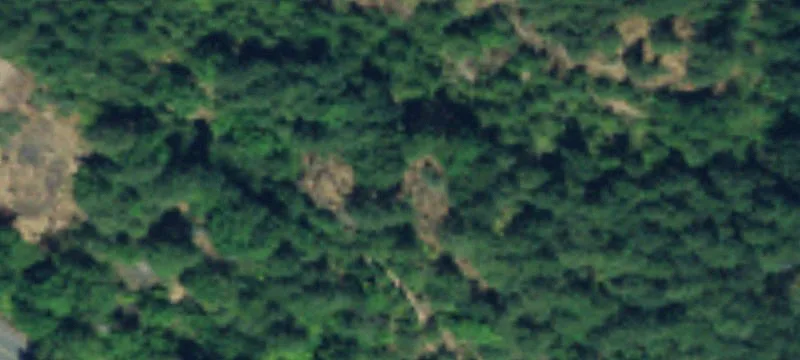 43934 Mt Si Rd