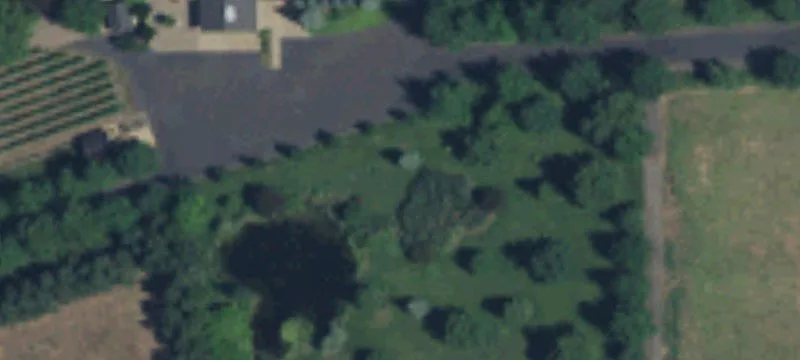 1321 School Ave
