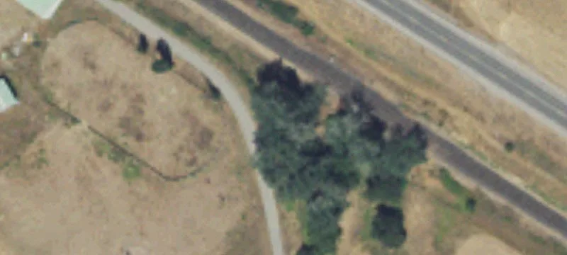 719 Hwy 395th N