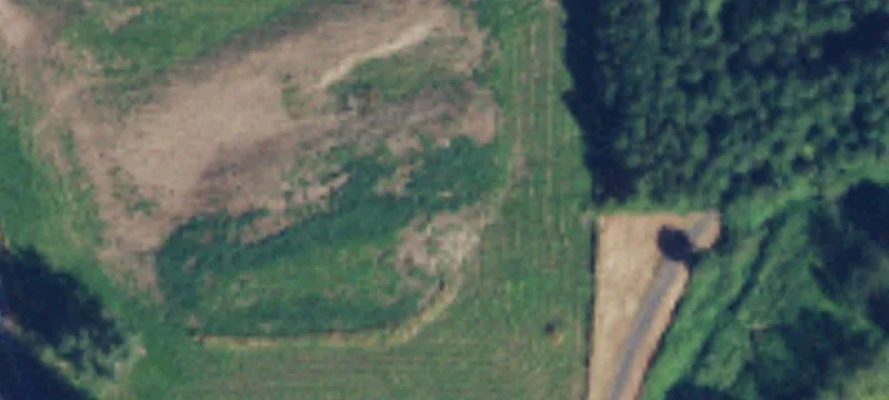 Sumas, WA 98295