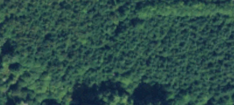 Grays River, WA 98621