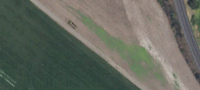 Rosalia, WA 99170
