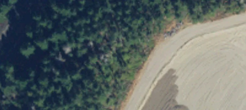 Anderson Island, WA 98303