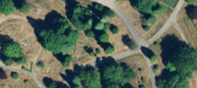 Everett, WA 98203