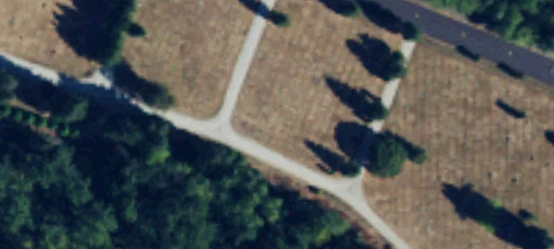 Lynnwood, WA 98036