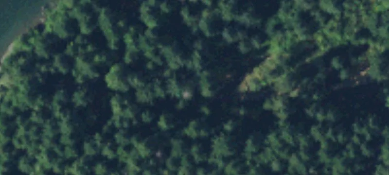 561 Cronquist Rd