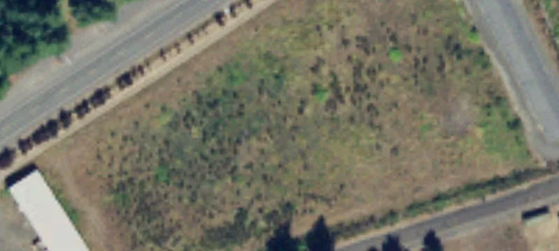 Montesano, WA 98563