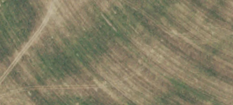 Odessa, WA 99159