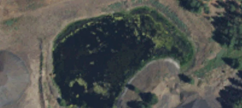 Spangle, WA 99031