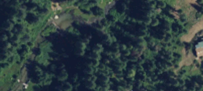 Elk, WA 99009