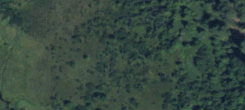 Springdale, WA 99173