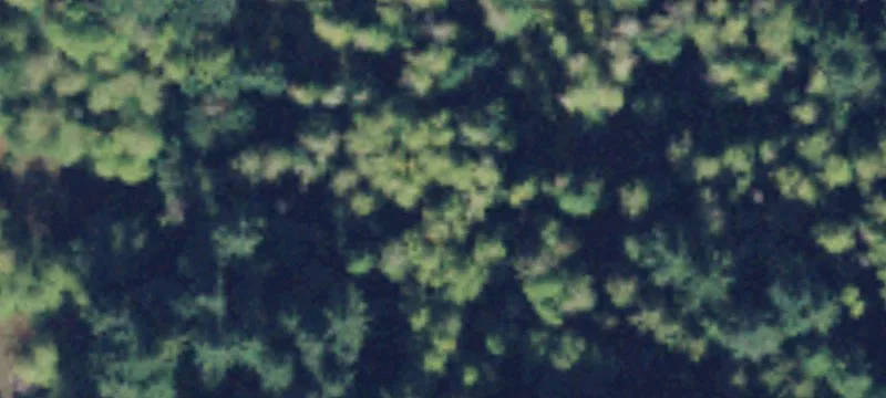 Granite Falls, WA 98252