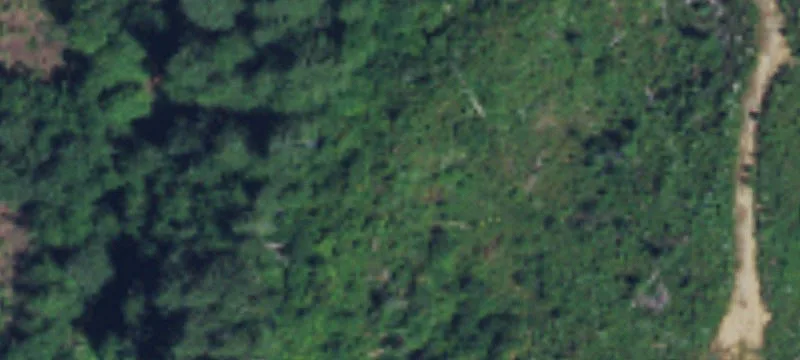 Washougal, WA 98671