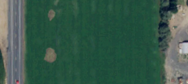 Moses Lake, WA 98837