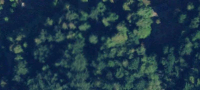Bow, WA 98232