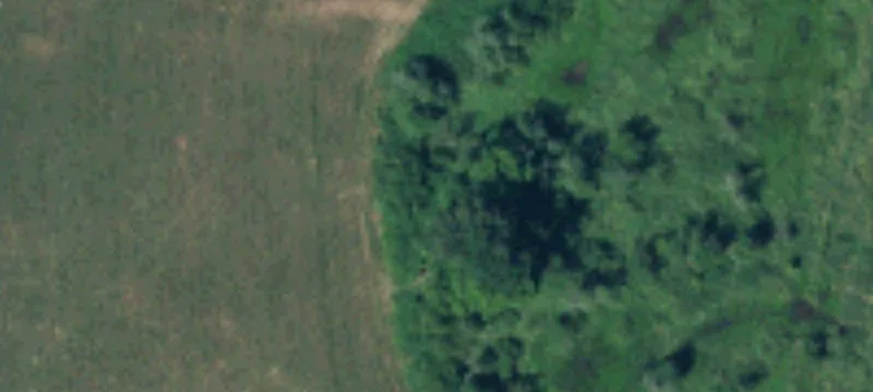 870 Imboden Rd