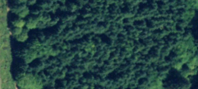 Cosmopolis, WA 98537