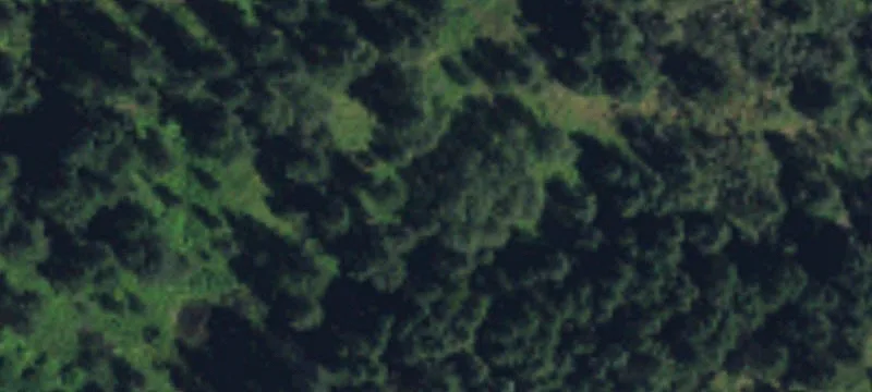 Oroville, WA 98844