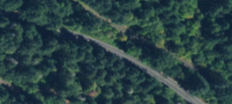 Tenino, WA 98589