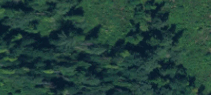 Tenino, WA 98589