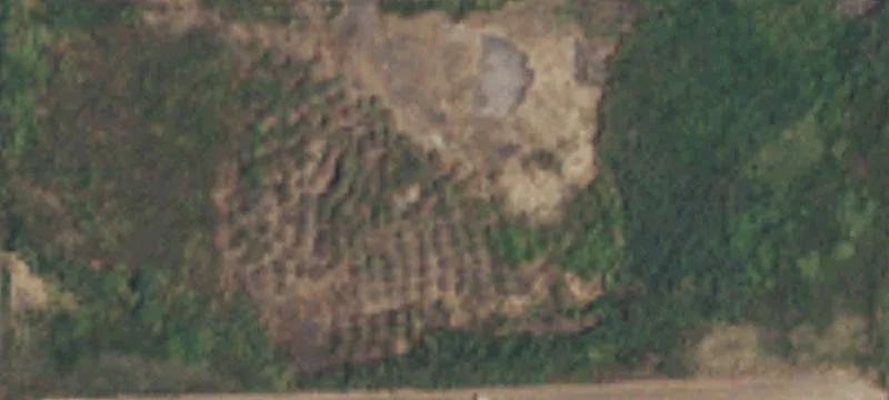 Latah, WA 99018