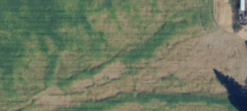 Sedro Woolley, WA 98284