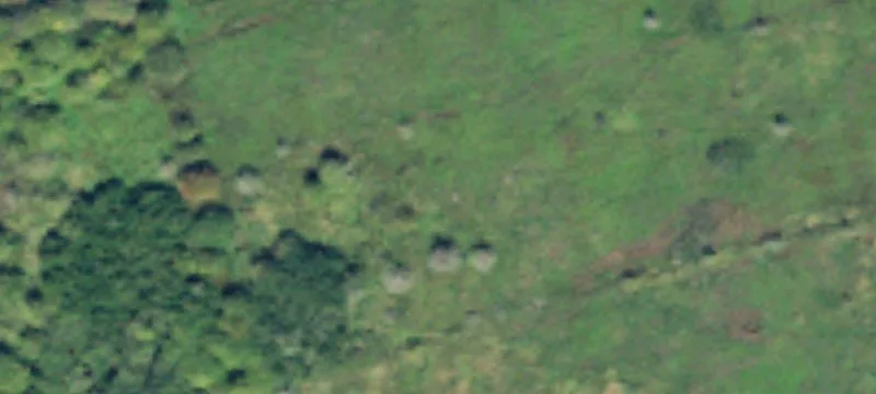 Aberdeen, WA 98520