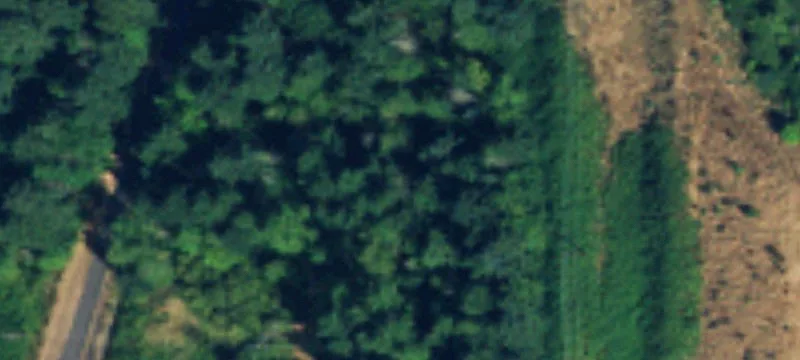 Auburn, WA 98092