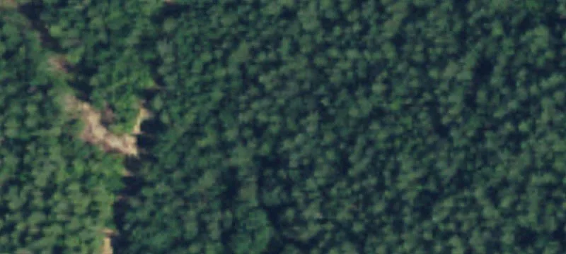Ravensdale, WA 98051