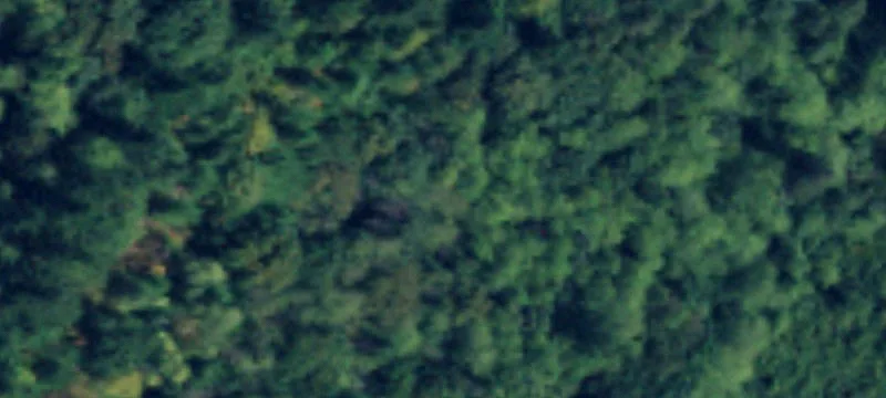 Sedro Woolley, WA 98284