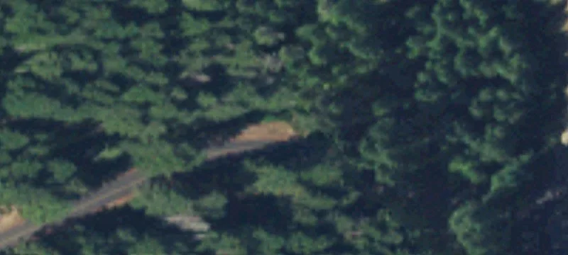 Grapeview, WA 98546