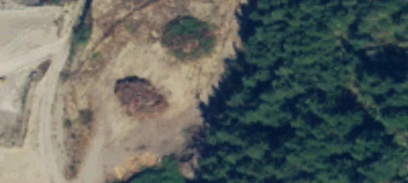 Oak Harbor, WA 98277