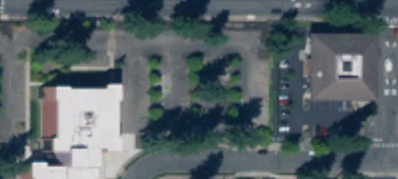 Lacey, WA 98503