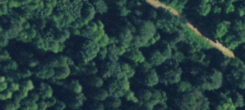 Snohomish, WA 98290