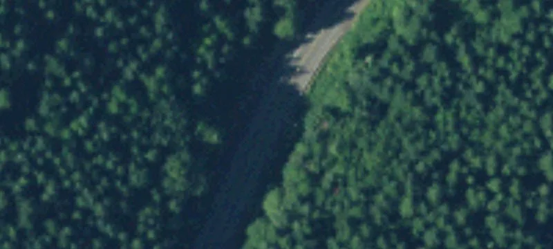 Elma, WA 98541