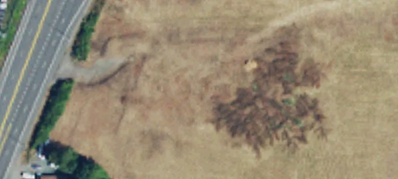 Snohomish, WA 98296