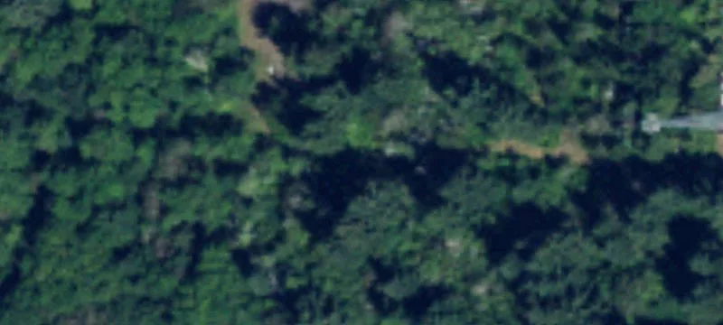 Long Beach, WA 98631