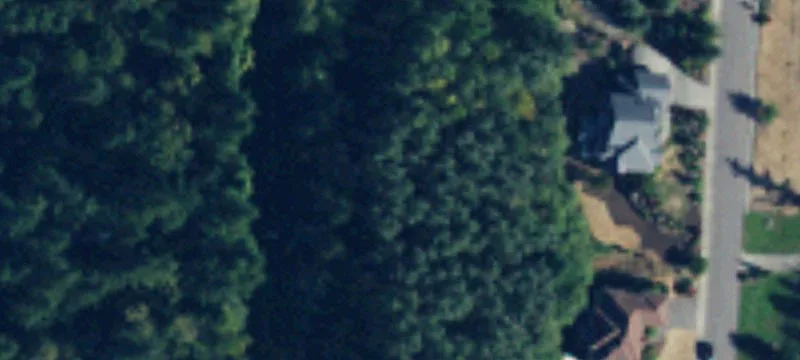 Bellingham, WA 98229
