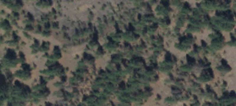 Cheney, WA 99004