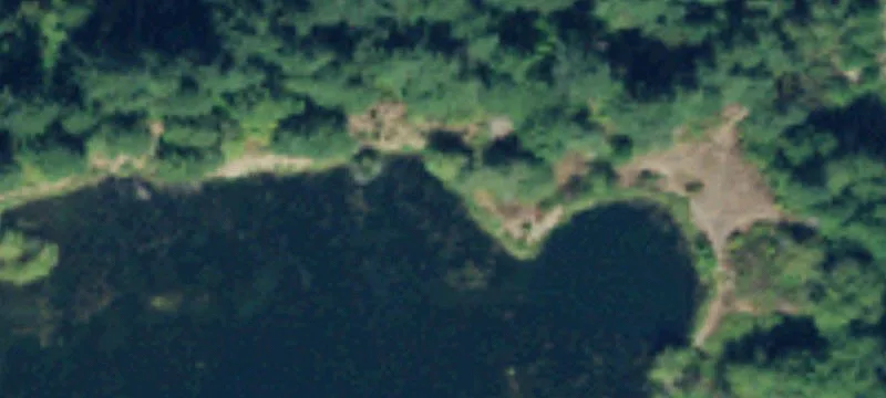 Elma, WA 98541