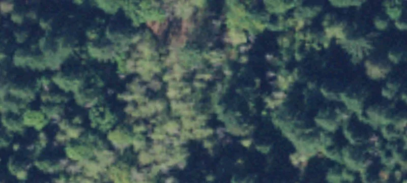 Arlington, WA 98223