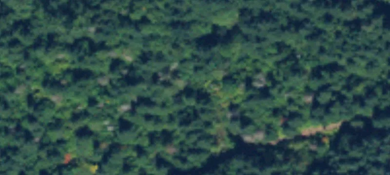 Rainier, WA 98576