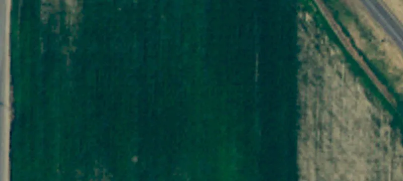 Sr-82