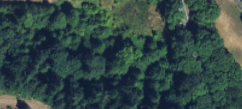 Battle Ground, WA 98604